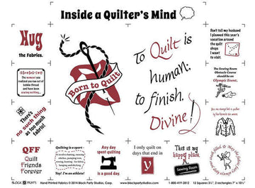 Inside a Quilter's Mind Panel
