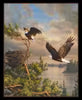 Coming Home Eagles Panel