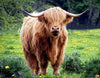 Highland Cow in Dandilions Panel