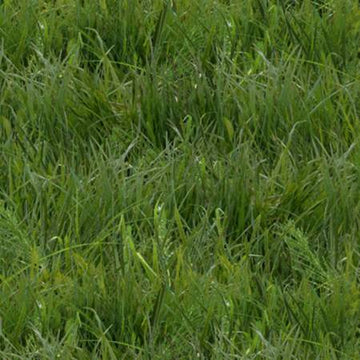 Green Grass 250E 1\2 yard