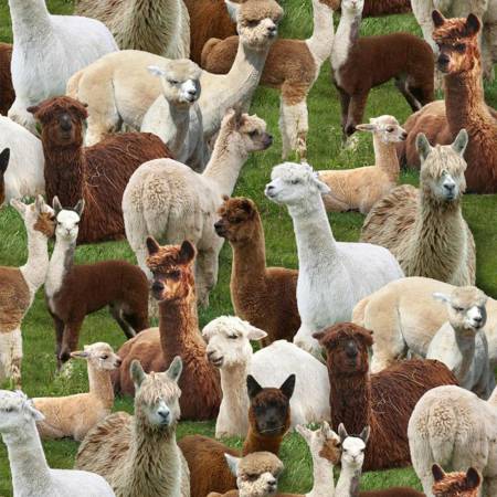 Green Alpacas 445E 1\2 yard