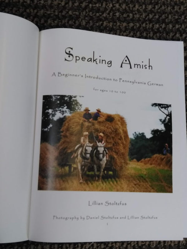 Speaking Amish Book by Lillian Stoltzfus