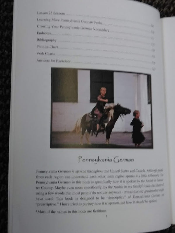 Speaking Amish Book by Lillian Stoltzfus