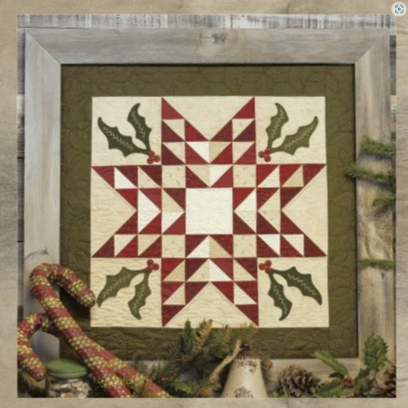 Framed Holly Star