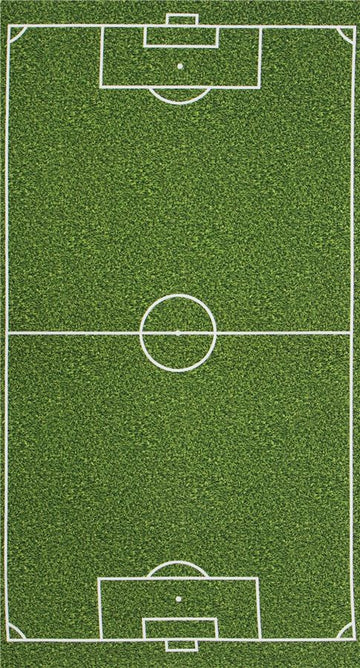Soccer Field Panel